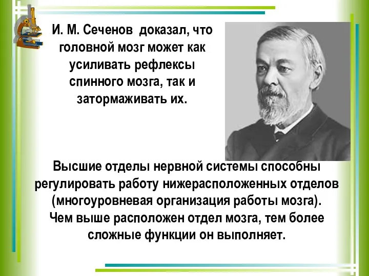 И. М. Сеченов доказал, что головной мозг может как усиливать рефлексы