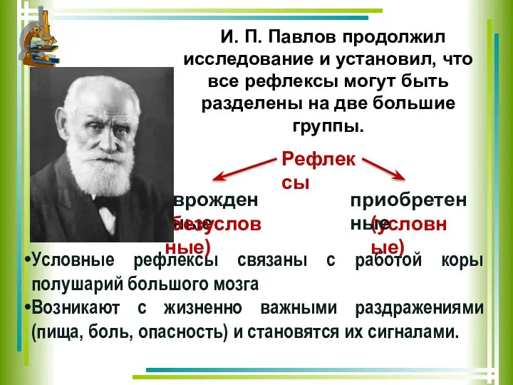 И. П. Павлов продолжил исследование и установил, что все рефлексы могут