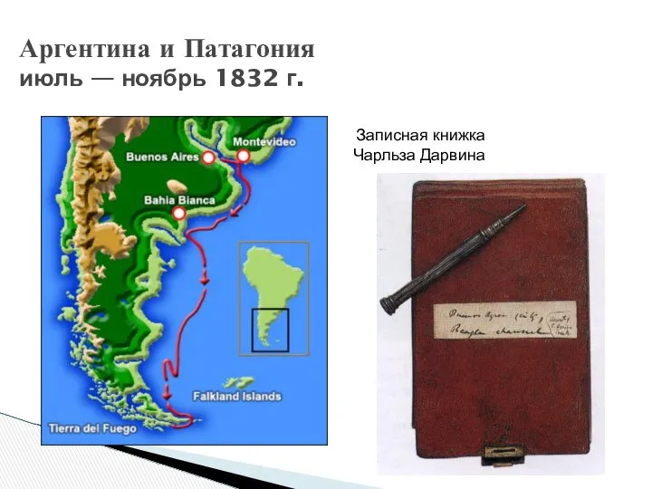 Аргентина и Патагония июль — ноябрь 1832 г. Записная книжка Чарльза Дарвина