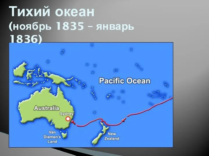 Тихий океан (ноябрь 1835 – январь 1836)