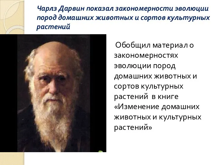 Чарлз Дарвин показал закономерности эволюции пород домашних животных и сортов культурных