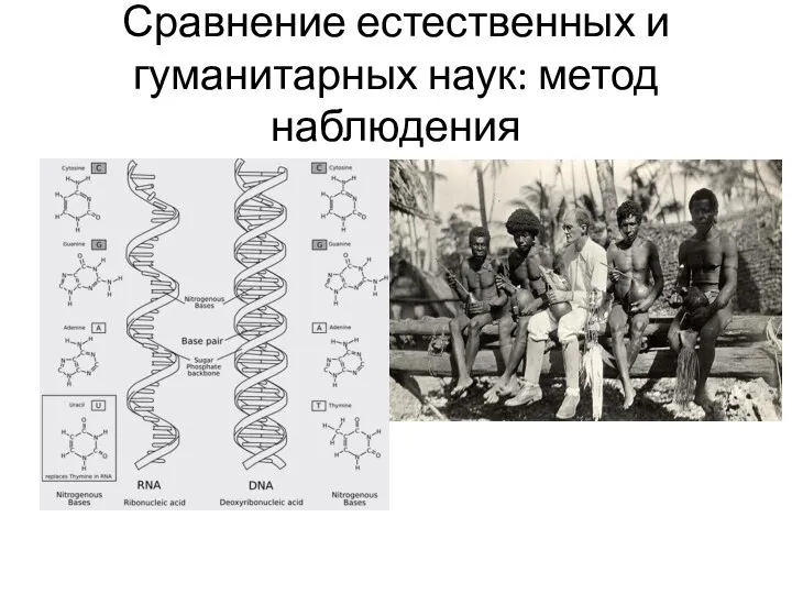 Сравнение естественных и гуманитарных наук: метод наблюдения