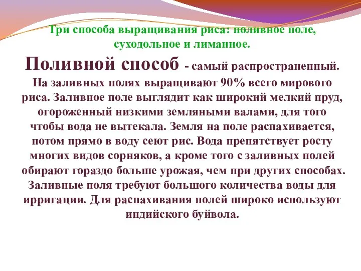 Три способа выращивания риса: поливное поле, суходольное и лиманное. Поливной способ