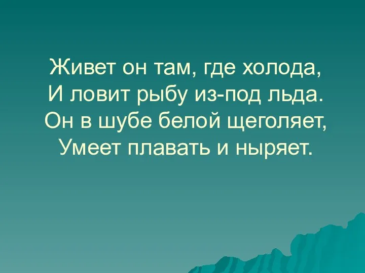 Живет он там, где холода, И ловит рыбу из-под льда. Он