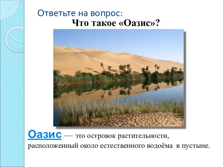 Ответьте на вопрос: Что такое «Оазис»? Оазис — это островок растительности,