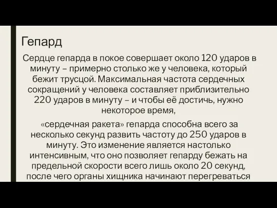 Гепард Сердце гепарда в покое совершает около 120 ударов в минуту