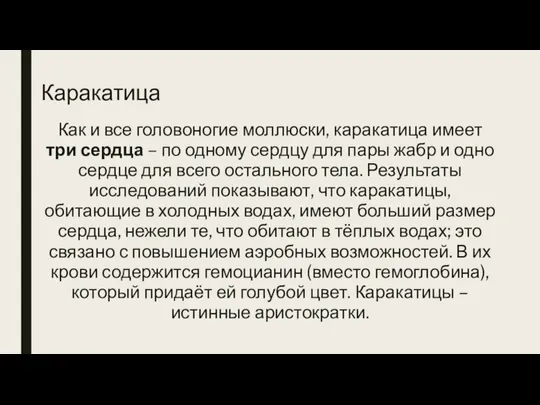 Каракатица Как и все головоногие моллюски, каракатица имеет три сердца –