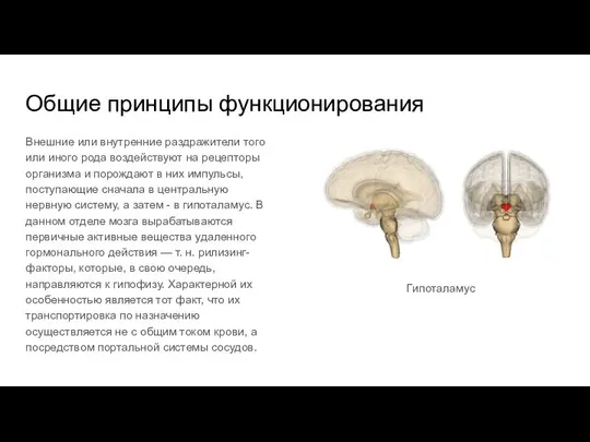 Общие принципы функционирования Внешние или внутренние раздражители того или иного рода