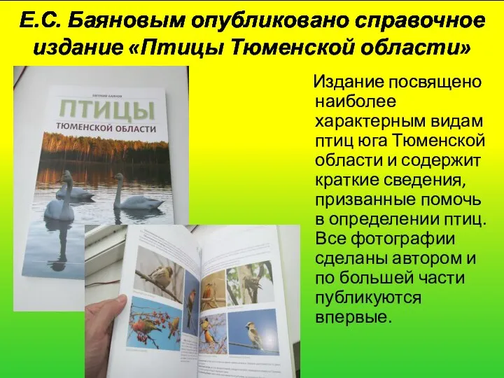 Е.С. Баяновым опубликовано справочное издание «Птицы Тюменской области» Издание посвящено наиболее