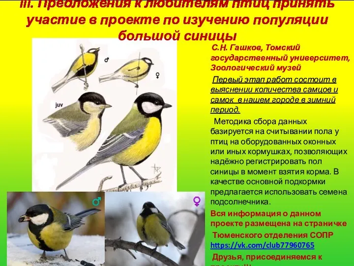 III. Предложения к любителям птиц принять участие в проекте по изучению
