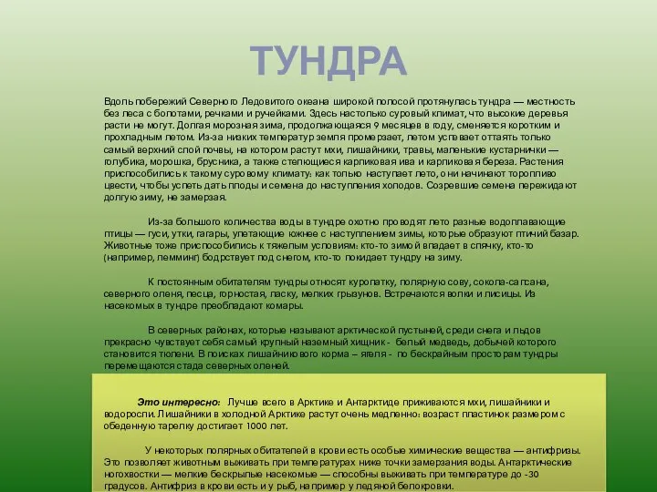 ТУНДРА Вдоль побережий Северного Ледовитого океана широкой полосой протянулась тундра —