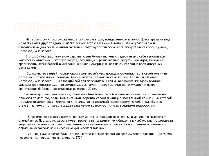 ТРОПИЧЕСКИЙ ЛЕС. На территориях, расположенных в районе экватора, всегда тепло и