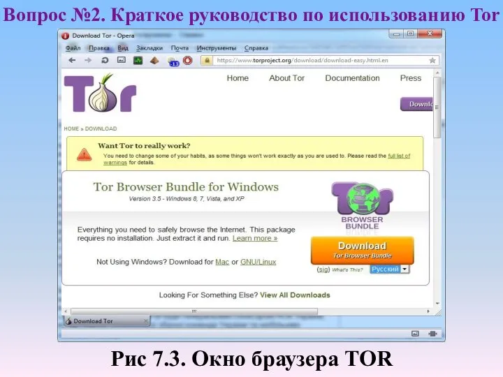 Рис 7.3. Окно браузера TOR Вопрос №2. Краткое руководство по использованию Tor