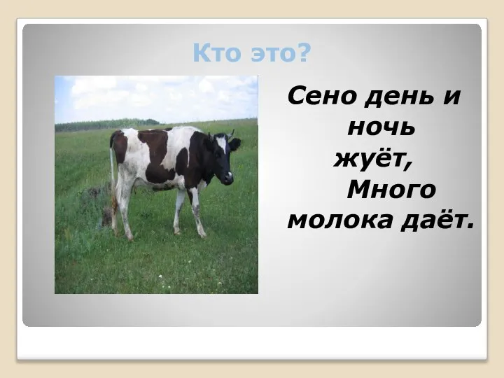 Кто это? Сено день и ночь жуёт, Много молока даёт.