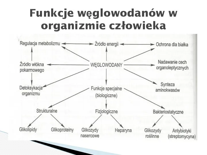 Funkcje węglowodanów w organizmie człowieka