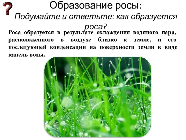 Образование росы: Подумайте и ответьте: как образуется роса? Роса образуется в