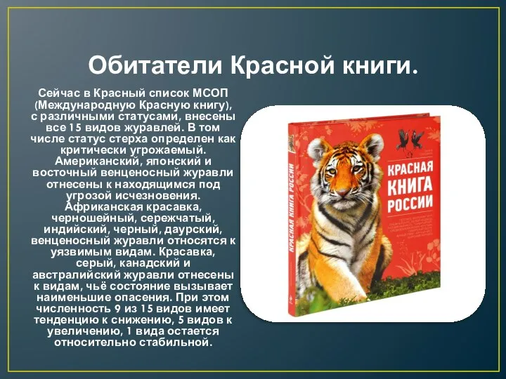 Обитатели Красной книги. Сейчас в Красный список МСОП (Международную Красную книгу),