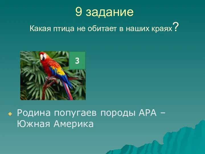 9 задание Какая птица не обитает в наших краях? Родина попугаев породы АРА – Южная Америка