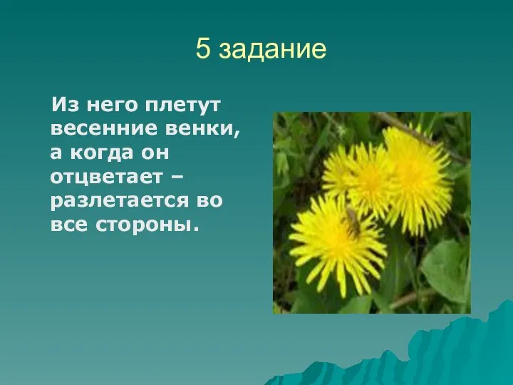 5 задание Из него плетут весенние венки, а когда он отцветает – разлетается во все стороны.