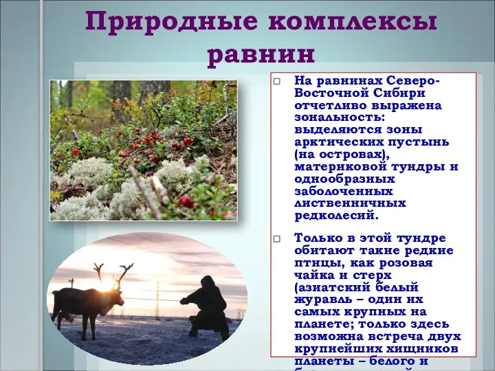 Природные комплексы равнин На равнинах Северо-Восточной Сибири отчетливо выражена зональность: выделяются