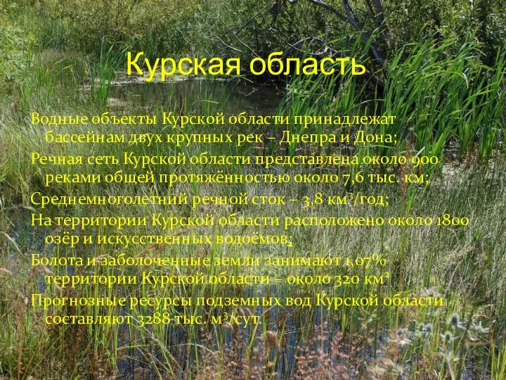 Курская область Водные объекты Курской области принадлежат бассейнам двух крупных рек