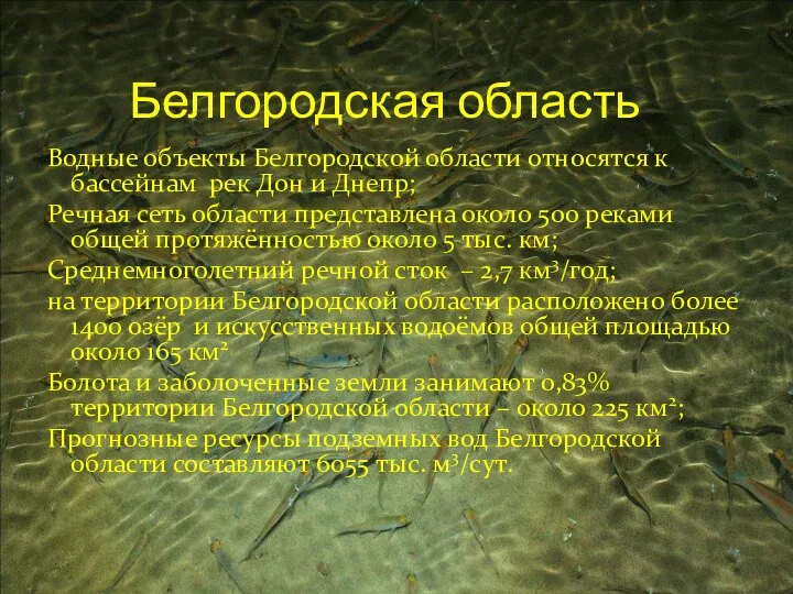 Белгородская область Водные объекты Белгородской области относятся к бассейнам рек Дон