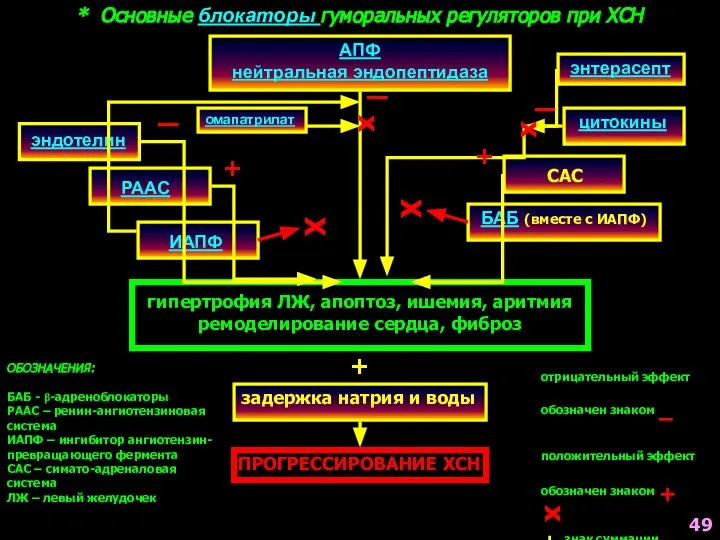 * Основные блокаторы гуморальных регуляторов при ХСН АПФ нейтральная эндопептидаза эндотелин