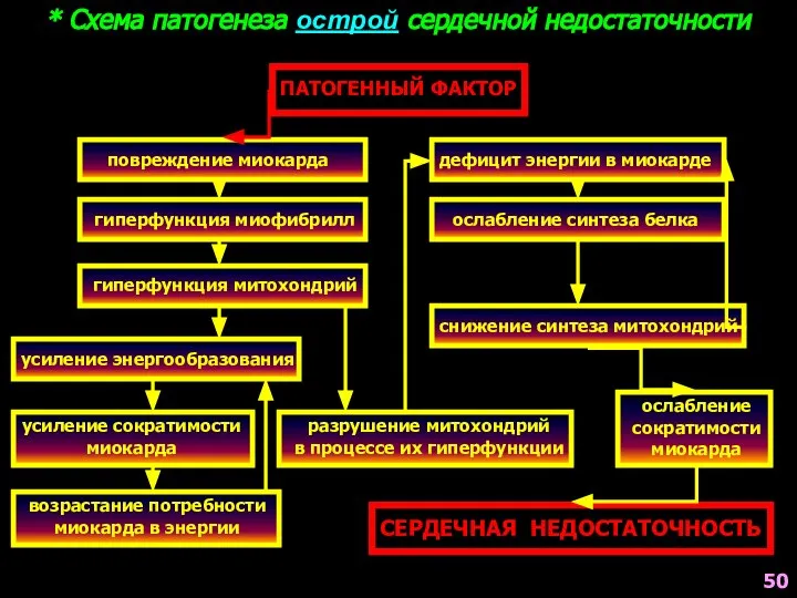 * Схема патогенеза острой сердечной недостаточности ПАТОГЕННЫЙ ФАКТОР повреждение миокарда дефицит