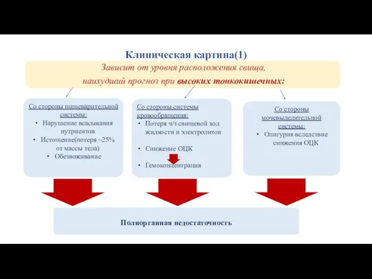 Клиническая картина(1) Со стороны пищеварительной системы: Нарушение всасывания нутриентов Истощение(потеря ~25%