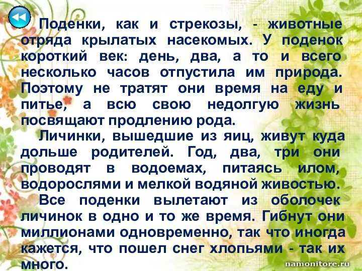 Поденки, как и стрекозы, - животные отряда крылатых насекомых. У поденок