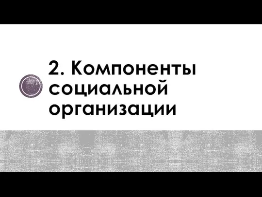 2. Компоненты социальной организации