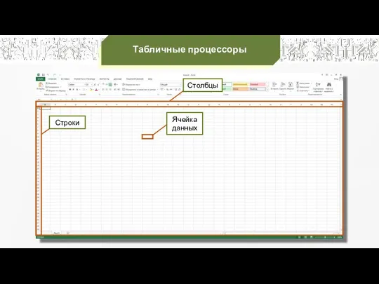 Столбцы Строки Табличные процессоры Ячейка данных