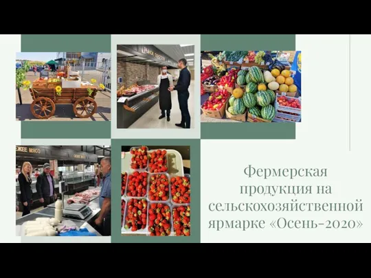 Фермерская продукция на сельскохозяйственной ярмарке «Осень-2020»