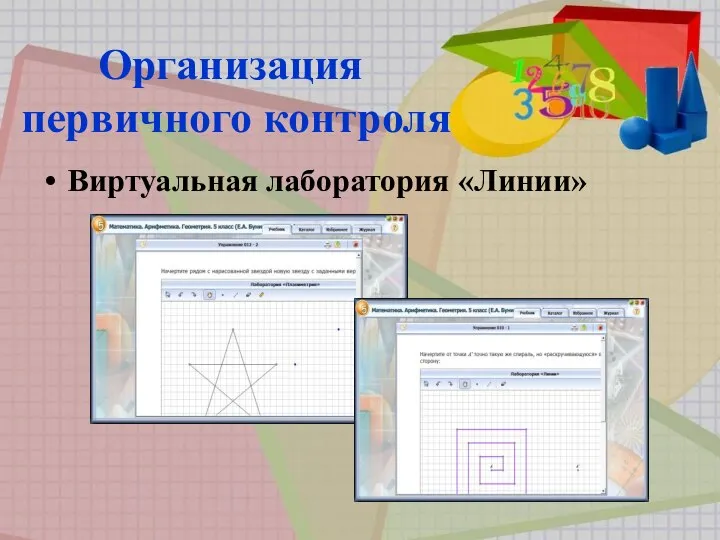 Организация первичного контроля Виртуальная лаборатория «Линии»