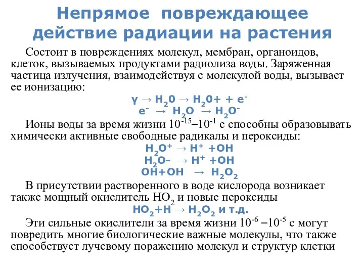 Непрямое повреждающее действие радиации на растения Состоит в повреждениях молекул, мембран,