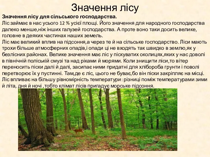 Значення лісу Значення лісу для сільського господарства. Ліс займає в нас