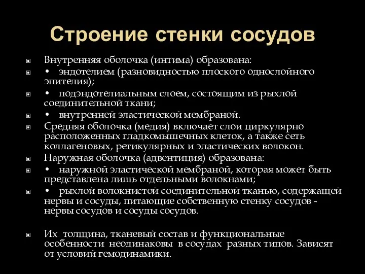 Строение стенки сосудов Внутренняя оболочка (интима) образована: • эндотелием (разновидностью плоского