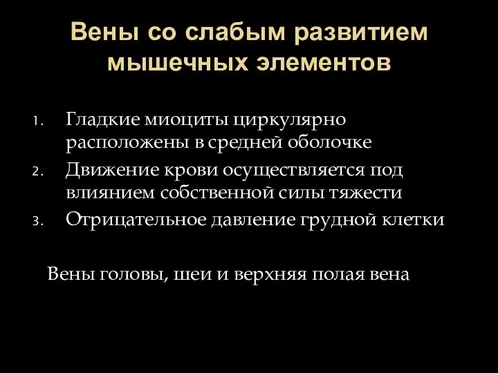 Вены со слабым развитием мышечных элементов Гладкие миоциты циркулярно расположены в