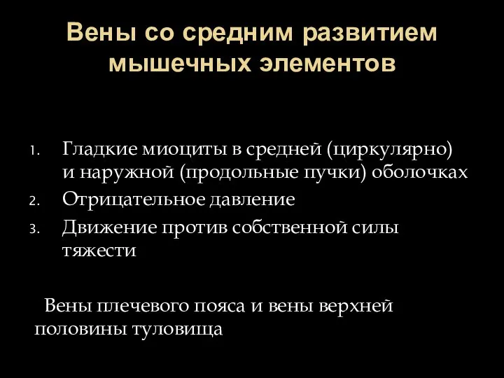 Вены со средним развитием мышечных элементов Гладкие миоциты в средней (циркулярно)