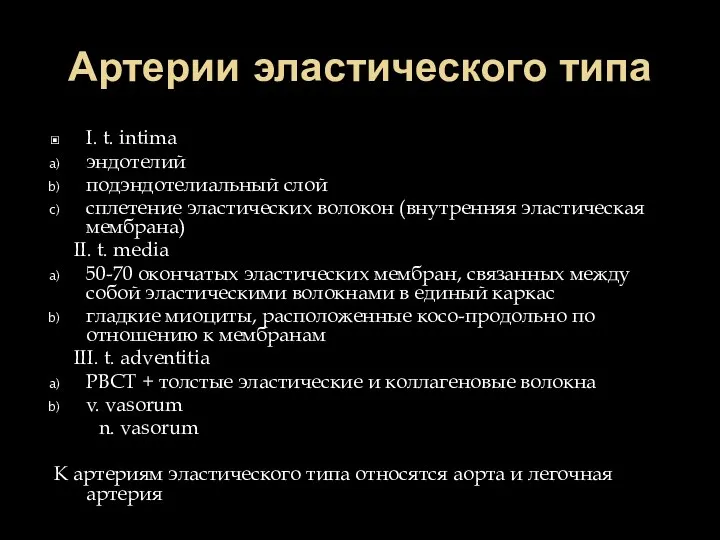 Артерии эластического типа I. t. intima эндотелий подэндотелиальный слой сплетение эластических