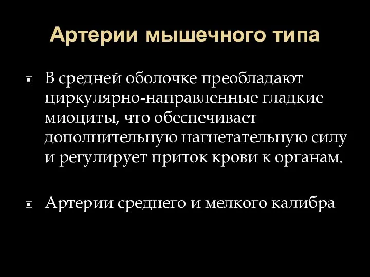 Артерии мышечного типа В средней оболочке преобладают циркулярно-направленные гладкие миоциты, что