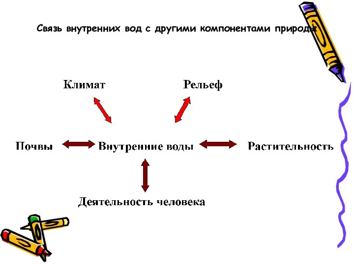 Связь внутренних вод с другими компонентами природы