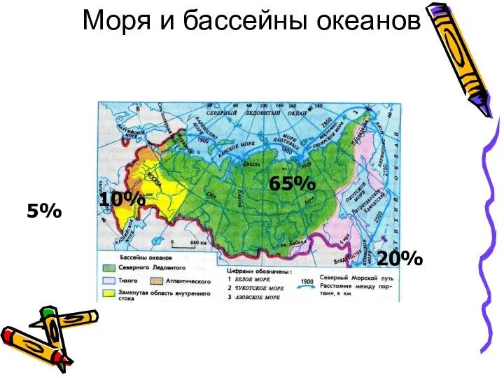 Моря и бассейны океанов 65% 20% 10% 5%