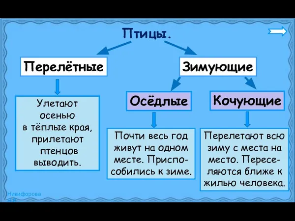 Птицы. Перелётные Зимующие Осёдлые Кочующие Улетают осенью в тёплые края, прилетают