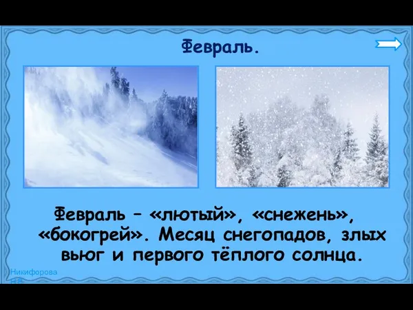 Февраль. Февраль – «лютый», «снежень», «бокогрей». Месяц снегопадов, злых вьюг и первого тёплого солнца.