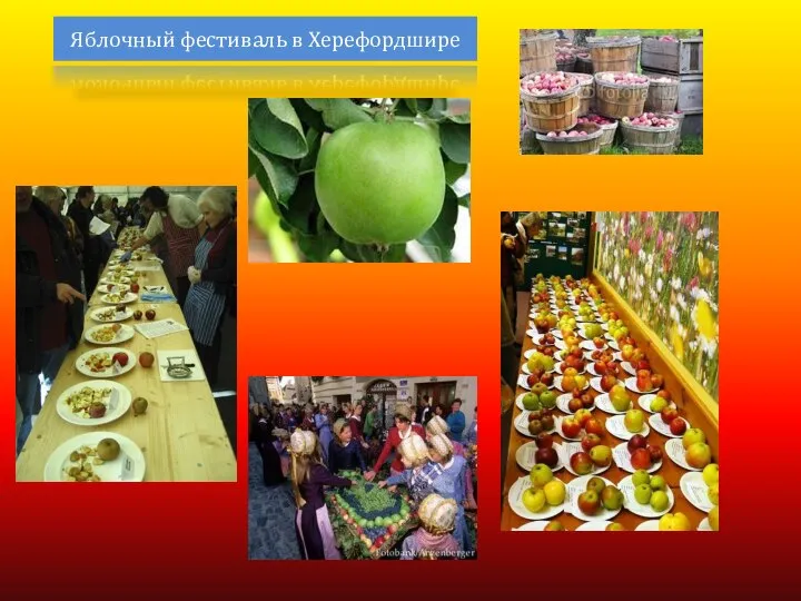 Яблочный фестиваль в Херефордшире