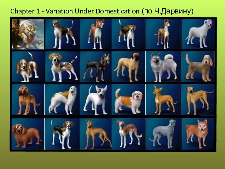 Chapter 1 - Variation Under Domestication (по Ч.Дарвину)