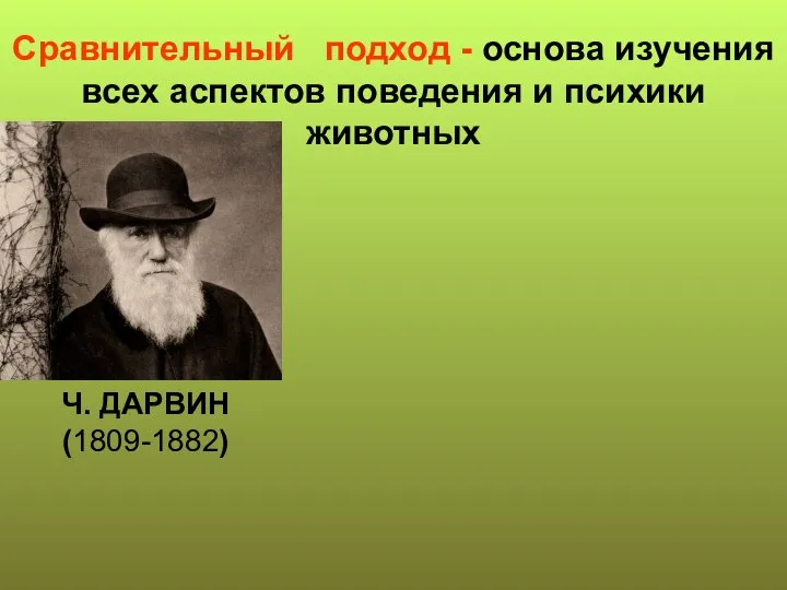 Ч. ДАРВИН (1809-1882) Сравнительный подход - основа изучения всех аспектов поведения и психики животных