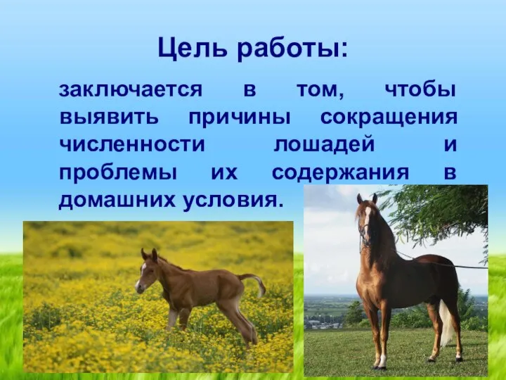 Цель работы: заключается в том, чтобы выявить причины сокращения численности лошадей