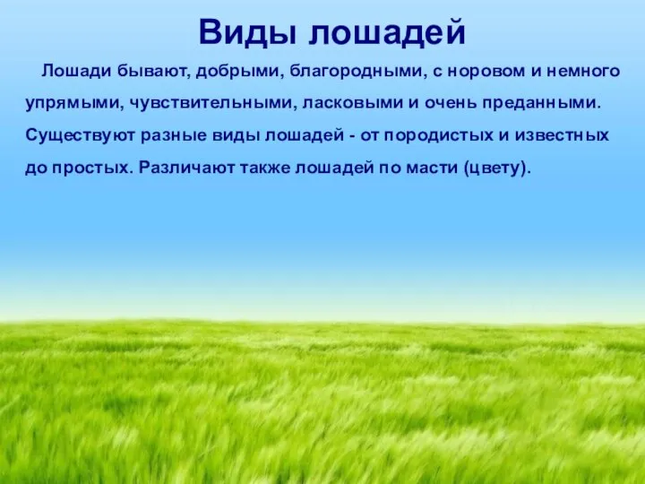 Виды лошадей Лошади бывают, добрыми, благородными, с норовом и немного упрямыми,